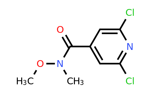 848498-98-6 | 2,6-Dichloro-N-methoxy-N-methylisonicotinamide