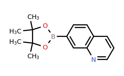 851985-81-4 | 7-(4,4,5,5-Tetramethyl-1,3,2-dioxaborolan-2-yl)quinoline