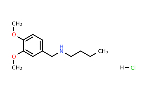859784-78-4 | Butyl[(3,4-dimethoxyphenyl)methyl]amine hydrochloride