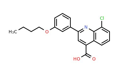 863185-09-5 | 2-(3-Butoxyphenyl)-8-chloroquinoline-4-carboxylic acid