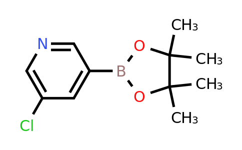 865186-94-3 | 5-Chloropyridine-3-boronic acid pinacol ester