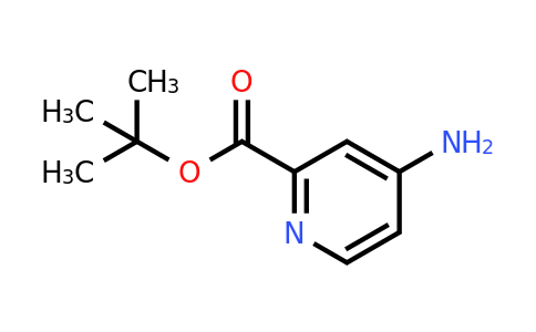 868171-68-0 | tert-Butyl 4-aminopyridine-2-carboxylate