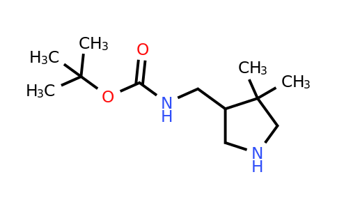 869292-47-7 | tert-Butyl N-[(4,4-dimethylpyrrolidin-3-yl)methyl]carbamate