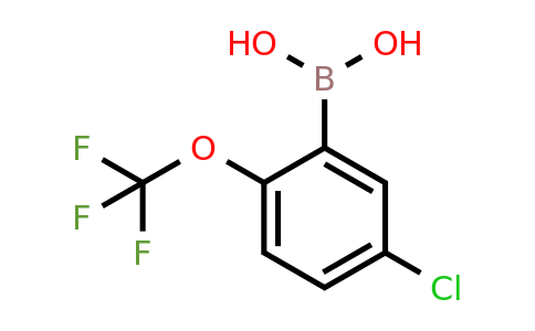 [5-Chloro-2-(trifluoromethoxy)phenyl]boronic acid