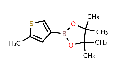 874959-74-7 | 4,4,5,5-Tetramethyl-2-(5-methylthiophen-3-yl)-1,3,2-dioxaborolane