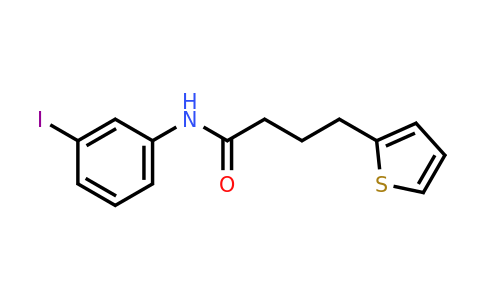 876676-13-0 | n-(3-Iodophenyl)-4-(thiophen-2-yl)butanamide