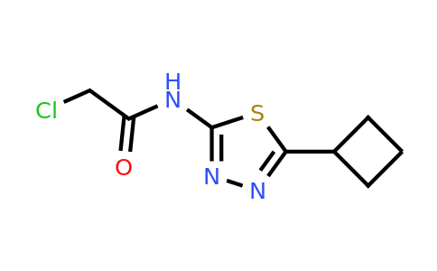 878668-04-3 | 2-Chloro-N-(5-cyclobutyl-1,3,4-thiadiazol-2-yl)acetamide