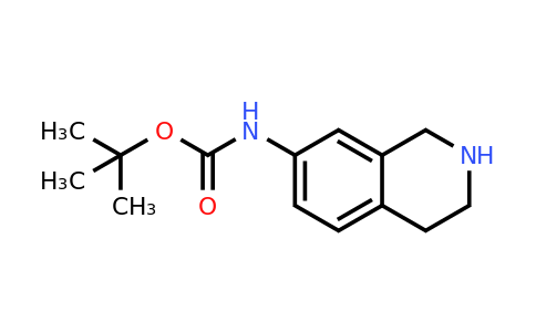 885270-54-2 | (1,2,3,4-Tetrahydro-isoquinolin-7-yl)-carbamic acid tert-butyl ester