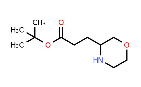 885274-03-3 | Tert-butyl 3-(morpholin-3-yl)propanoate
