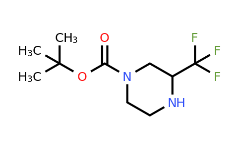 886779-69-7 | tert-Butyl 3-(trifluoromethyl)piperazine-1-carboxylate