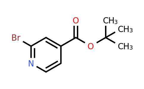 887579-30-8 | tert-Butyl 2-bromoisonicotinate