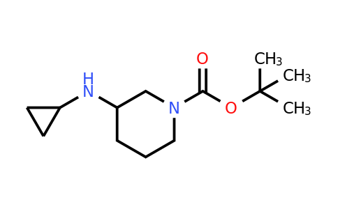 887588-04-7 | tert-Butyl 3-(cyclopropylamino)piperidine-1-carboxylate