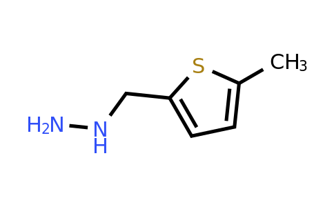 887592-30-5 | ((5-Methylthiophen-2-yl)methyl)hydrazine