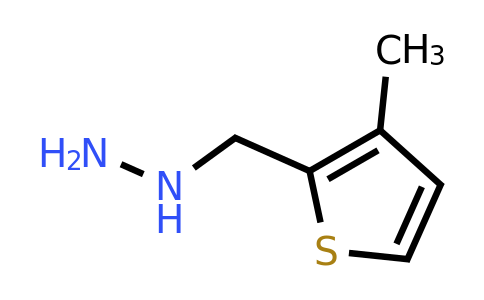 887592-33-8 | ((3-Methylthiophen-2-yl)methyl)hydrazine