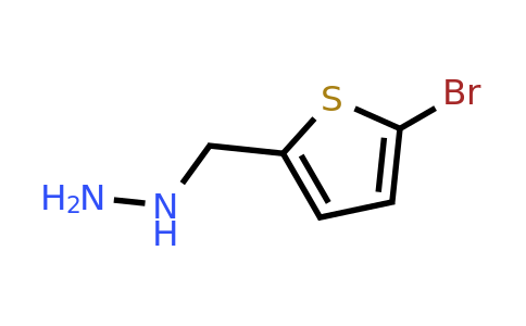 887592-39-4 | ((5-Bromothiophen-2-yl)methyl)hydrazine