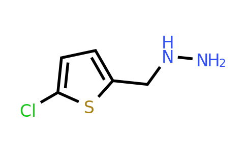 887592-42-9 | [(5-Chlorothiophen-2-yl)methyl]hydrazine