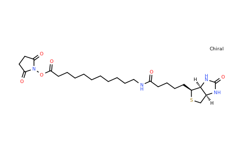 887628-40-2 | Biotin-C10-NHS Ester