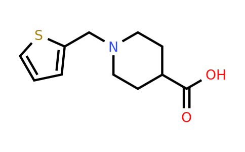 901923-78-2 | 1-(Thiophen-2-ylmethyl)piperidine-4-carboxylic acid
