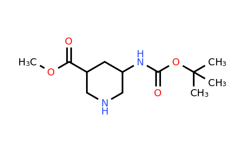 903094-67-7 | Methyl 5-((tert-butoxycarbonyl)amino)piperidine-3-carboxylate