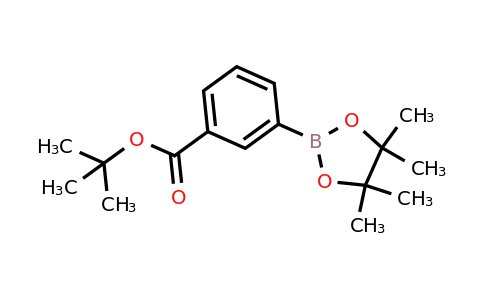 903895-48-7 | tert-Butyl 3-(4,4,5,5-tetramethyl-1,3,2-dioxaborolan-2-yl)benzoate
