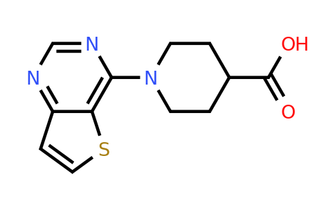 910037-25-1 | 1-(Thieno[3,2-d]pyrimidin-4-yl)piperidine-4-carboxylic acid