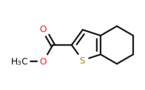 91489-09-7 | Methyl 4,5,6,7-tetrahydro-1-benzothiophene-2-carboxylate