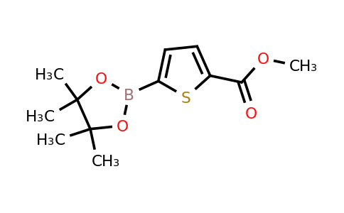 916138-13-1 | Methyl 5-(4,4,5,5-tetramethyl-1,3,2-dioxaborolan-2-yl)thiophene-2-carboxylate