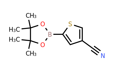 916454-59-6 | 5-(4,4,5,5-Tetramethyl-1,3,2-dioxaborolan-2-yl)thiophene-3-carbonitrile