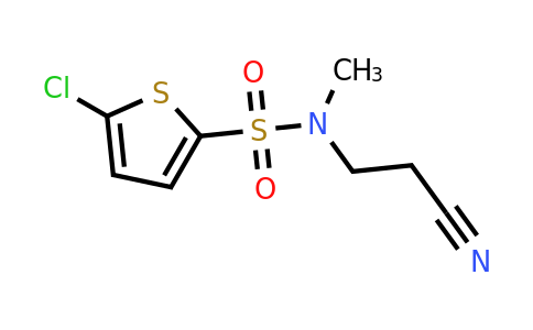 923127-01-9 | 5-Chloro-n-(2-cyanoethyl)-n-methylthiophene-2-sulfonamide