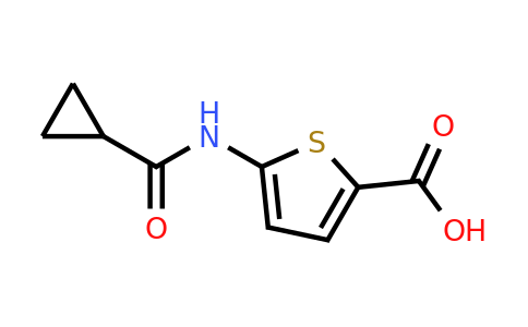 923244-16-0 | 5-Cyclopropaneamidothiophene-2-carboxylic acid