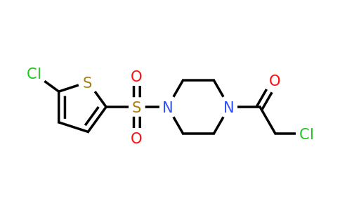 923775-35-3 | 2-Chloro-1-{4-[(5-chlorothiophen-2-yl)sulfonyl]piperazin-1-yl}ethan-1-one