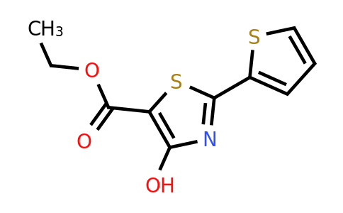 924869-00-1 | Ethyl 4-hydroxy-2-(thiophen-2-yl)thiazole-5-carboxylate