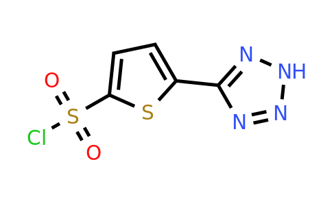 924964-21-6 | 5-(2H-Tetrazol-5-yl)-2-thiophenesulfonyl chloride