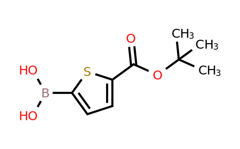 925921-29-5 | (5-(Tert-butoxycarbonyl)thiophen-2-yl)boronic acid