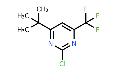 937639-96-8 | 4-Tert-butyl-2-chloro-6-(trifluoromethyl)pyrimidine