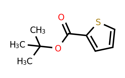 939-62-8 | tert-butyl thiophene-2-carboxylate