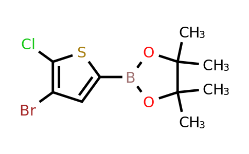 942070-02-2 | 2-(4-Bromo-5-chlorothiophen-2-yl)-4,4,5,5-tetramethyl-1,3,2-dioxaborolane