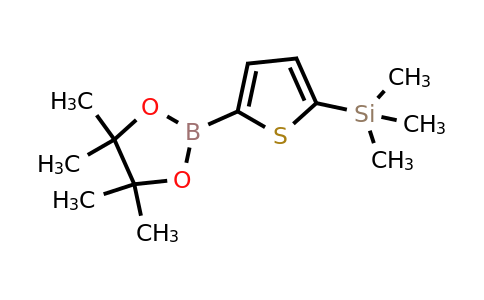 942070-36-2 | Trimethyl(5-(4,4,5,5-tetramethyl-1,3,2-dioxaborolan-2-yl)thiophen-2-yl)silane