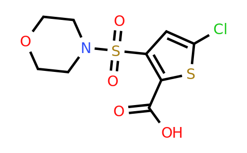 948015-50-7 | 5-Chloro-3-(morpholinosulfonyl)thiophene-2-carboxylic acid