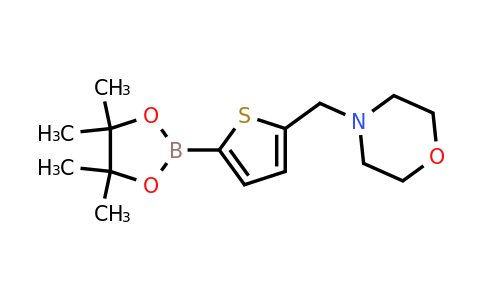 950603-39-1 | 4-((5-(4,4,5,5-Tetramethyl-1,3,2-dioxaborolan-2-yl)thiophen-2-yl)methyl)morpholine