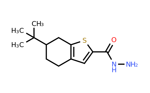 956576-54-8 | 6-(Tert-butyl)-4,5,6,7-tetrahydrobenzo[b]thiophene-2-carbohydrazide