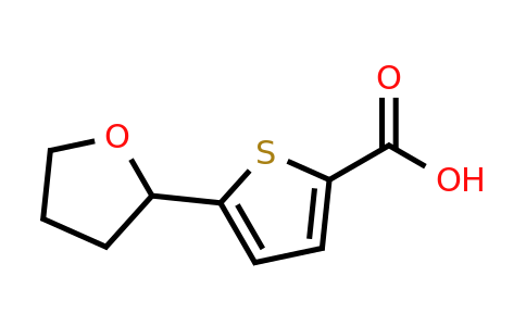 959237-71-9 | 5-(Tetrahydrofuran-2-yl)thiophene-2-carboxylic acid